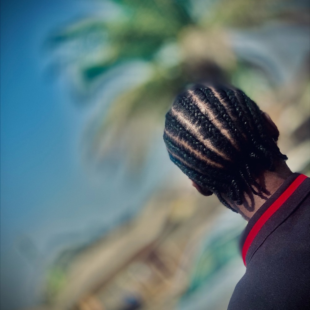 Intricate Black and Red Cornrow Braids for Wigs and Extensions